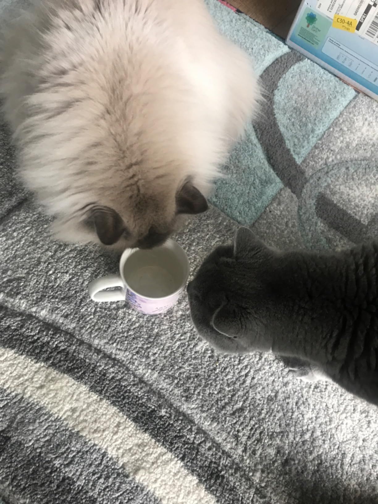 Thé NutraVision pour la santé et le confort des yeux