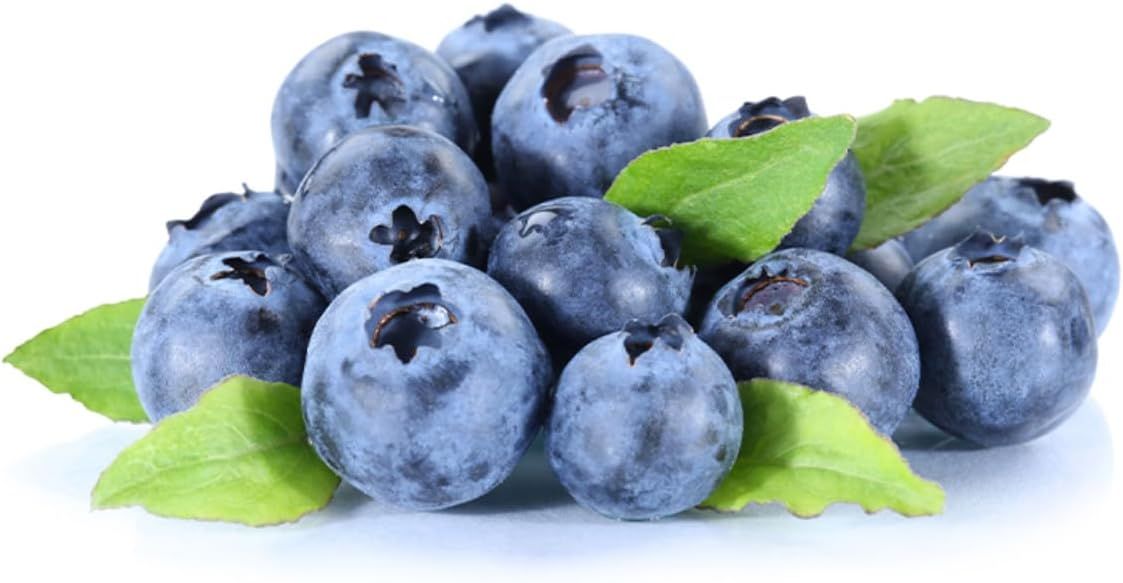 Thé vert bio au matcha - Thés de La Pagode