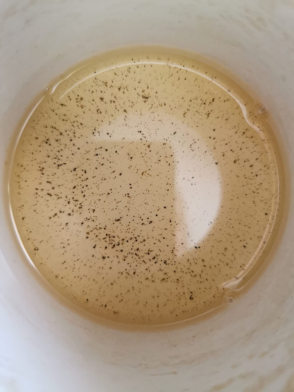 thé vert bio gingembre citron kusmi tea - boîte 100g