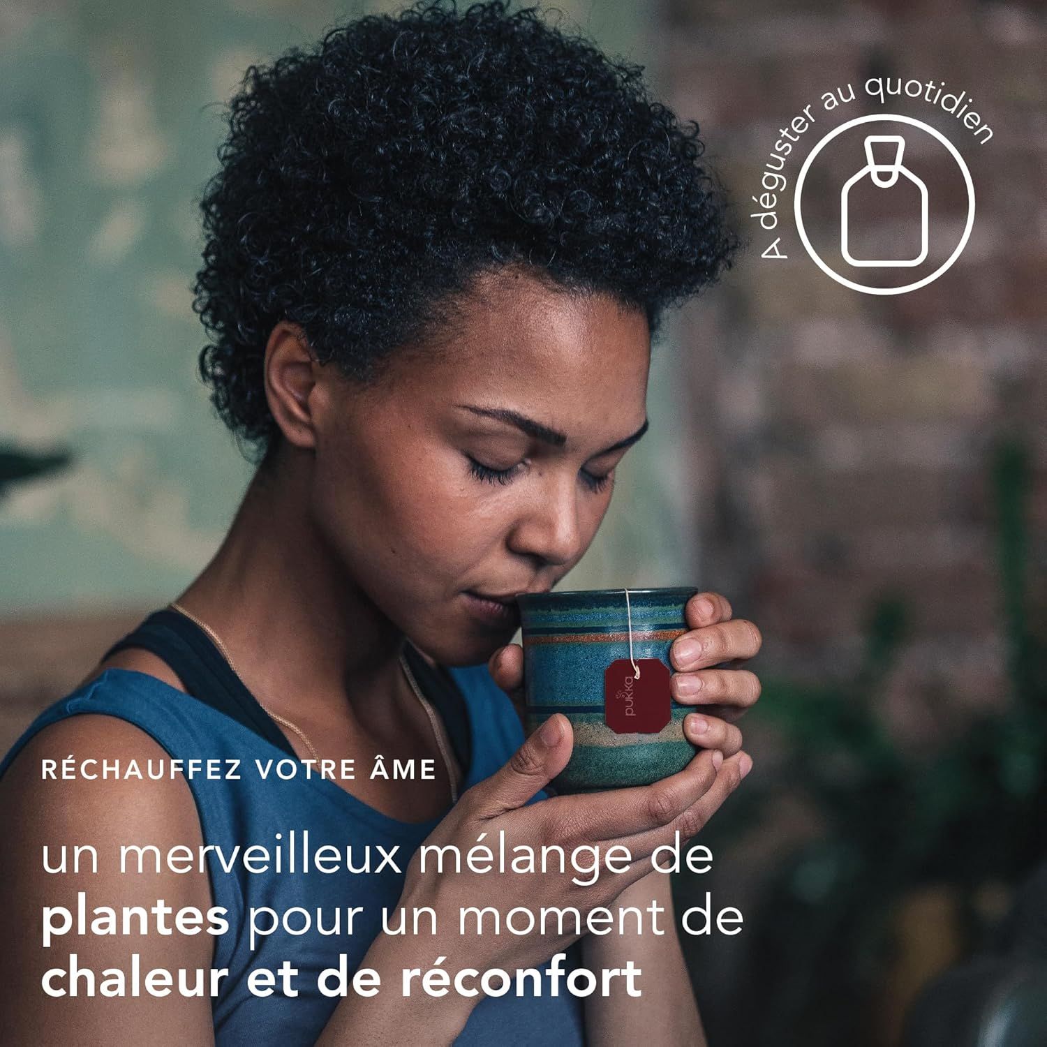 thé vert bio jasmin relaxant les 2 marmottes