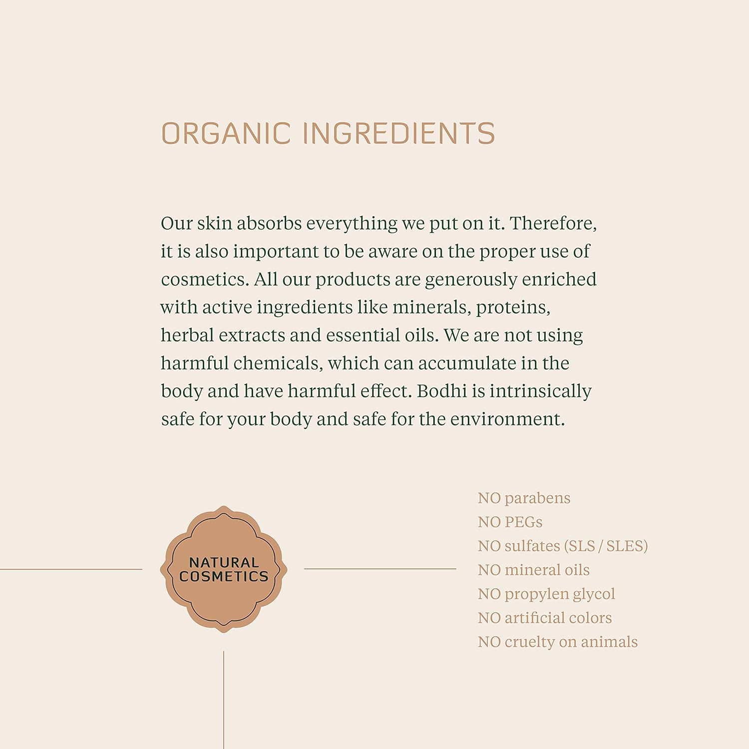 Feuilles de menthe poivrée bio en vrac - tisane et cuisine