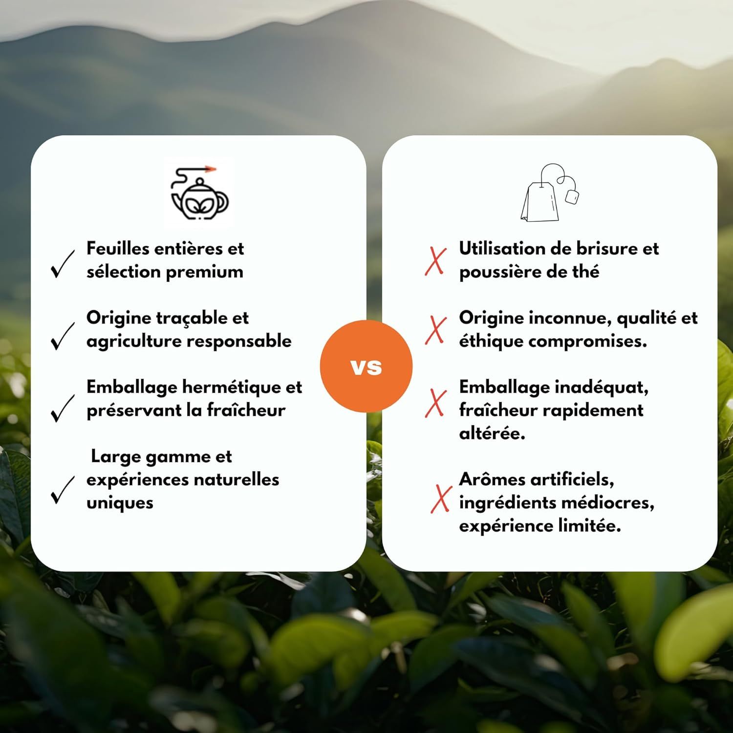 Thé earl grey en vrac Taylors of Harrogate