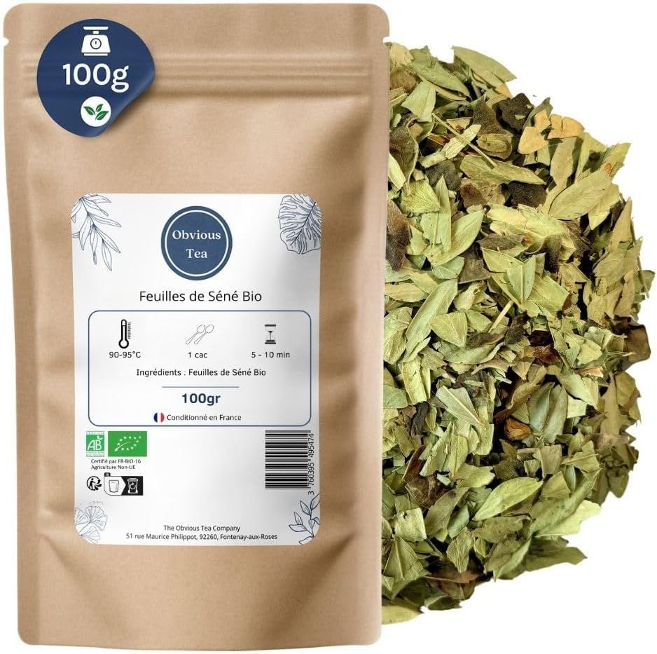 Plongez dans l'univers du thé avec Brahma Tea