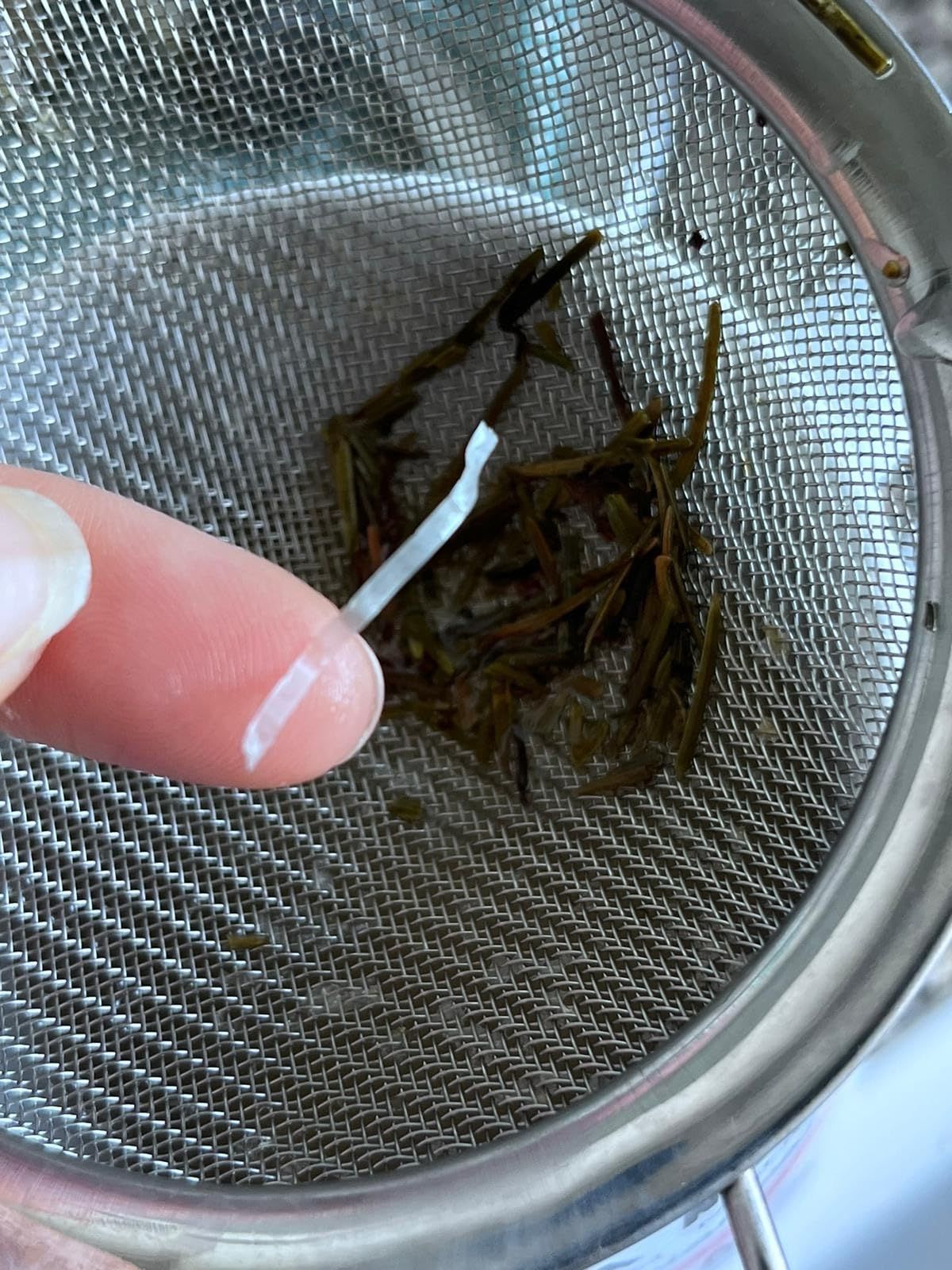 Infusion d'aiguilles de pin séchées 100g