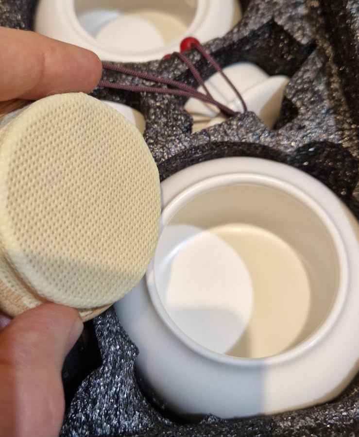 Théière chinoise avec plateau et infuseur - Théière portable en porcelaine - Sac tout-en-un - Pour extérieur, pique-nique, affaires, hôtel (noir)