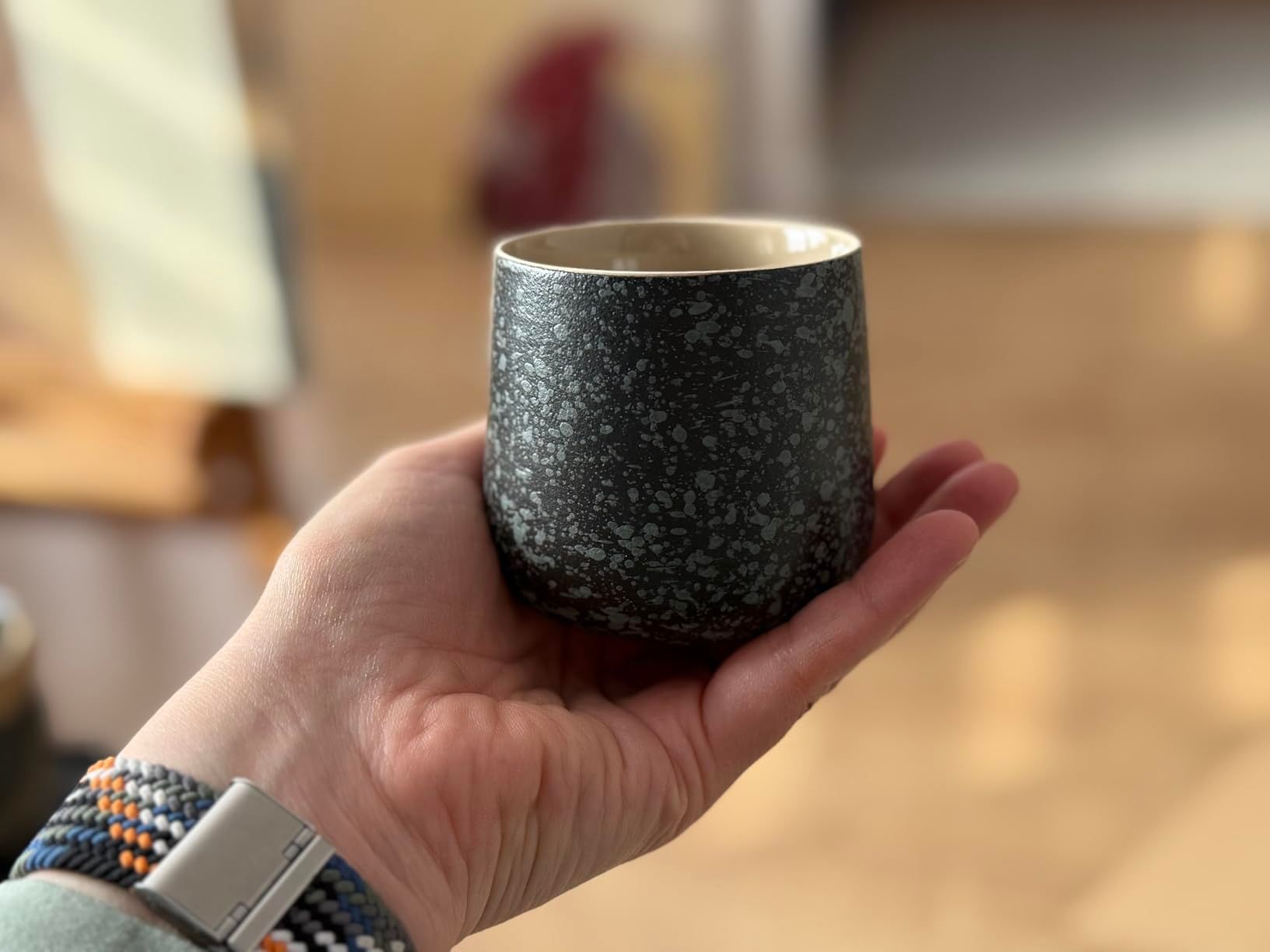 TEANAGOO Service à thé japonais portable, service à thé de voyage en porcelaine gris anthracite, 1 théière (700ml/25oz) + 4 tasses à thé (205ml/7.2oz), U2, étui de rangement pour plateau