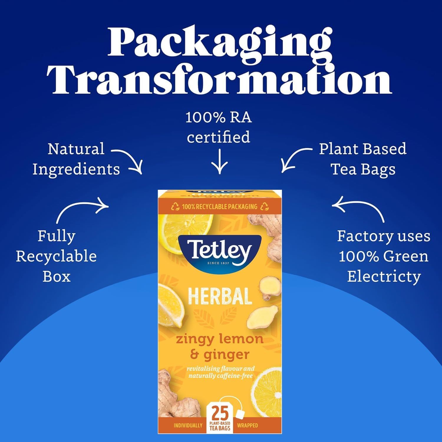 infusion glacée bio pêche sans sucre ajouté thés de la pagode