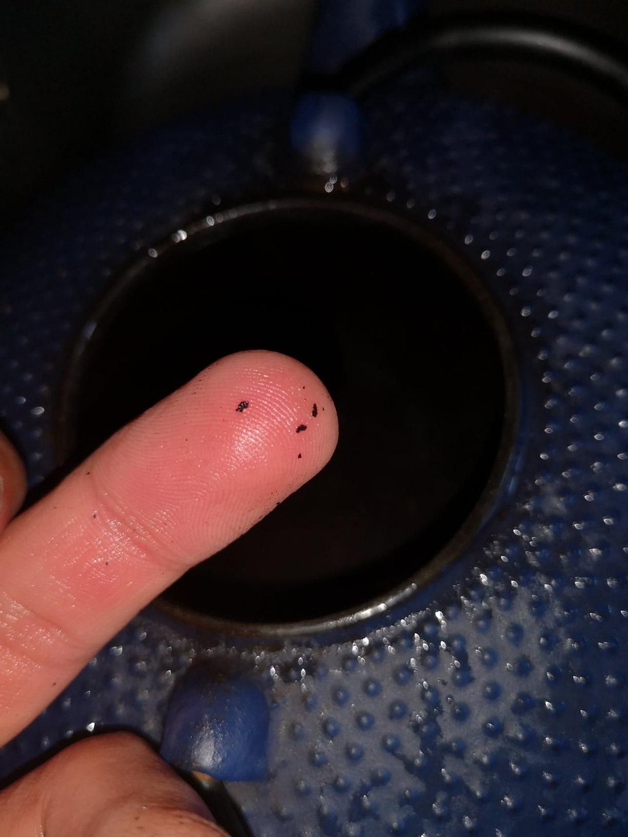 NOVASTYL - Théière en fonte Fuji bleue - 0,8L - Inspiré de l'art japonais - 7321629