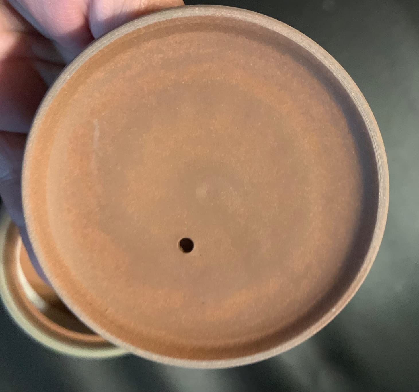 Japanese Green Tea Co. Théière japonaise en argile rouge pour thé vert (255 g) – Théière traditionnelle en argile fabriquée en Tokoname avec motif floral – Système de maille fine pour thé Fukamushi à