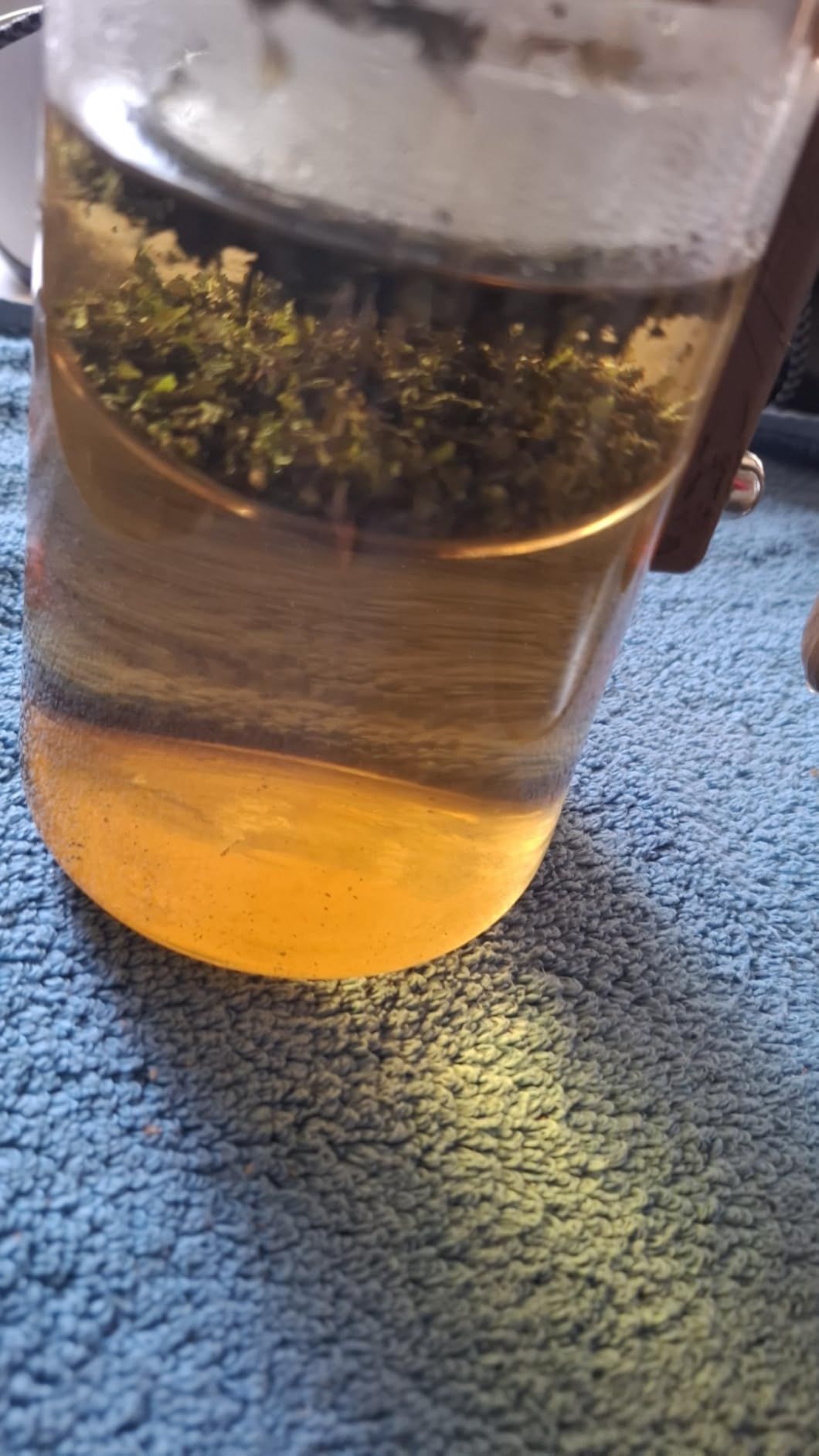 Feuilles de mélisse bio en vrac pour tisane apaisante