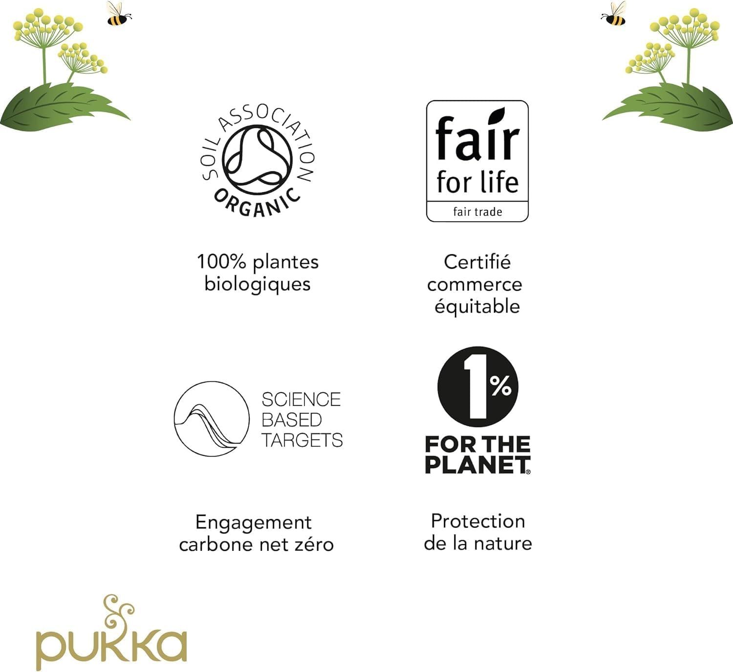 Sachets de thé déca pyramidaux PG Tips - Pack de 3