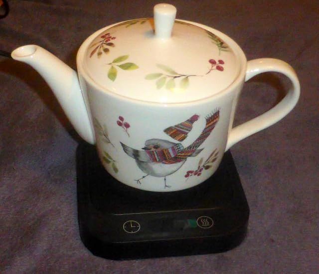 Mikasa Tipperlyhill Robin Théière en porcelaine fine 650 ml Coffret cadeau