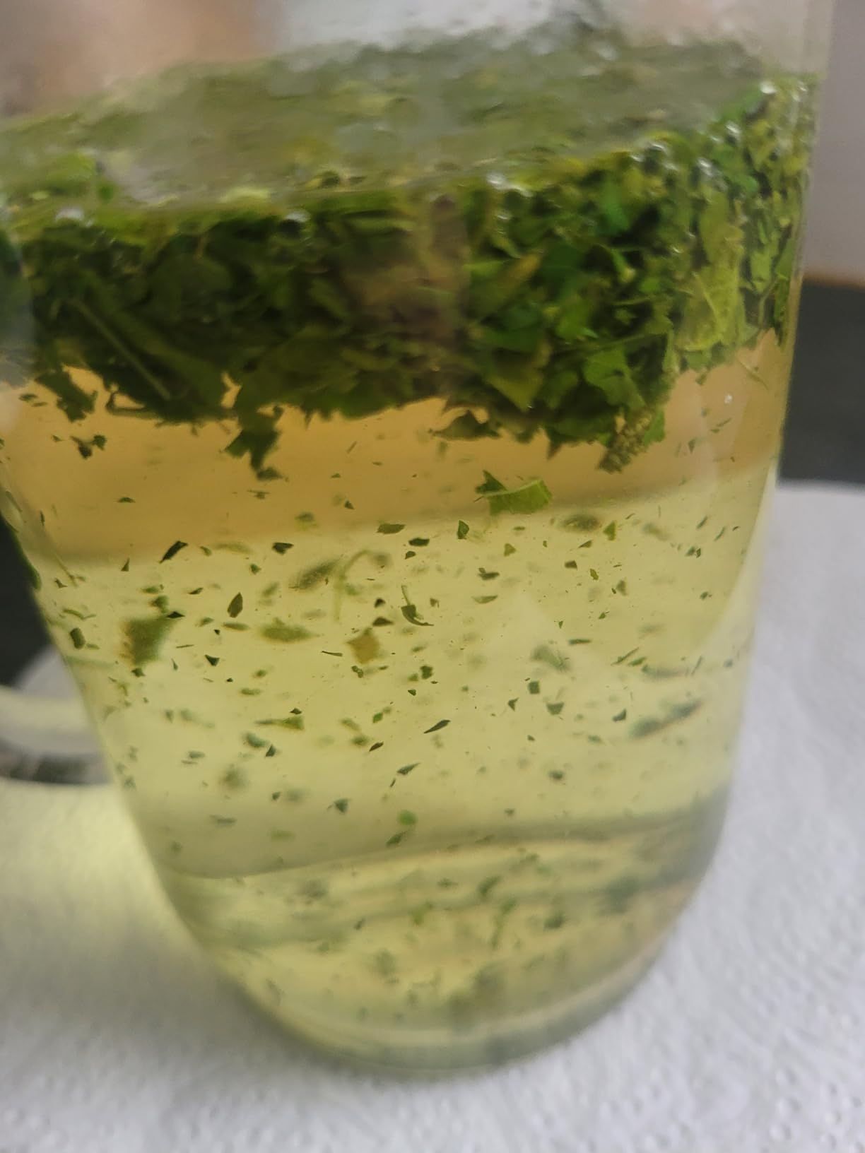 Tisane ortie bio 100 g infusion détox et reminéralisante