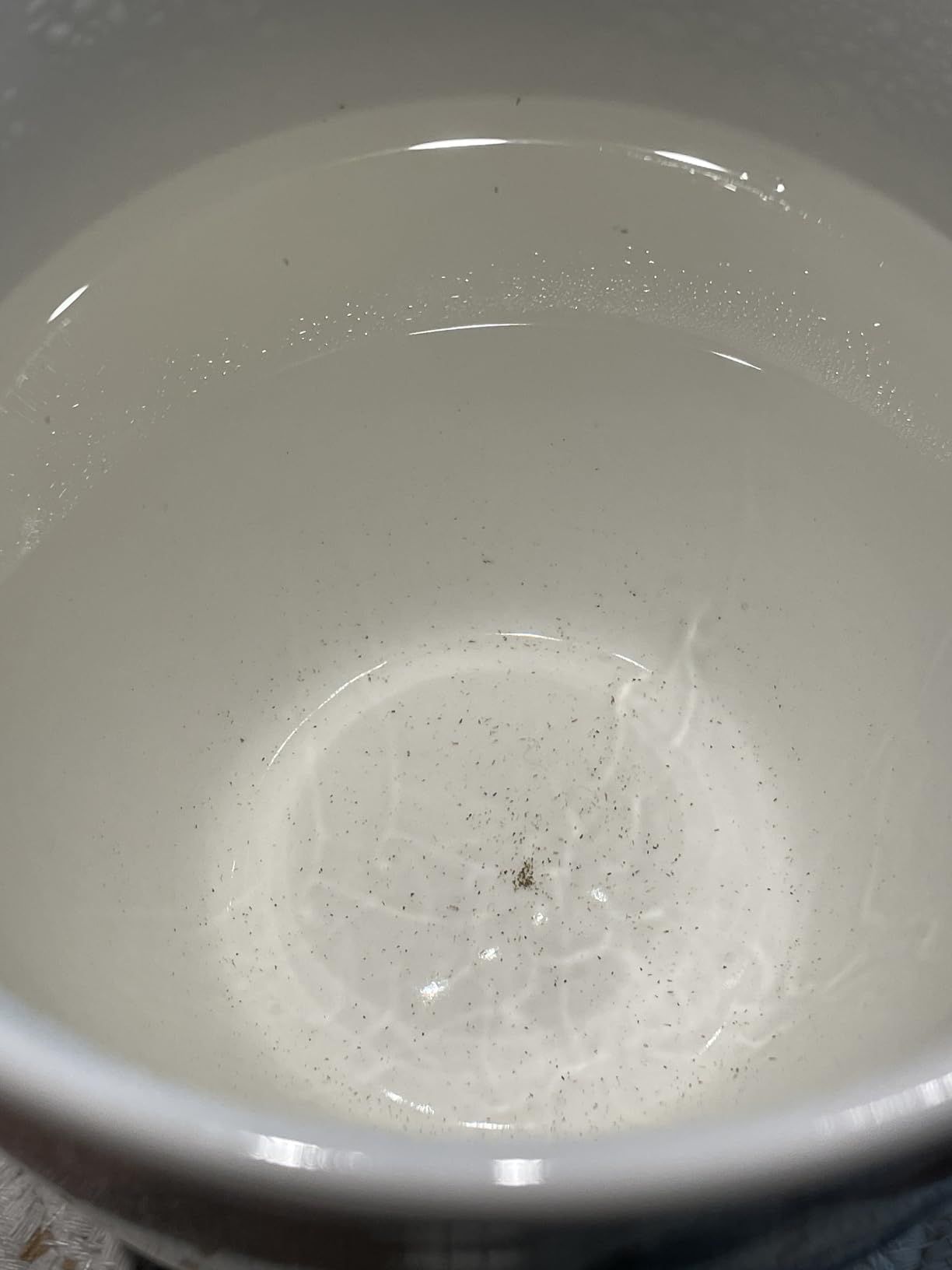 Easyworkz Théière en acier inoxydable 1500 ml avec infuseur amovible pour infusion de fruits, herbes et infusions