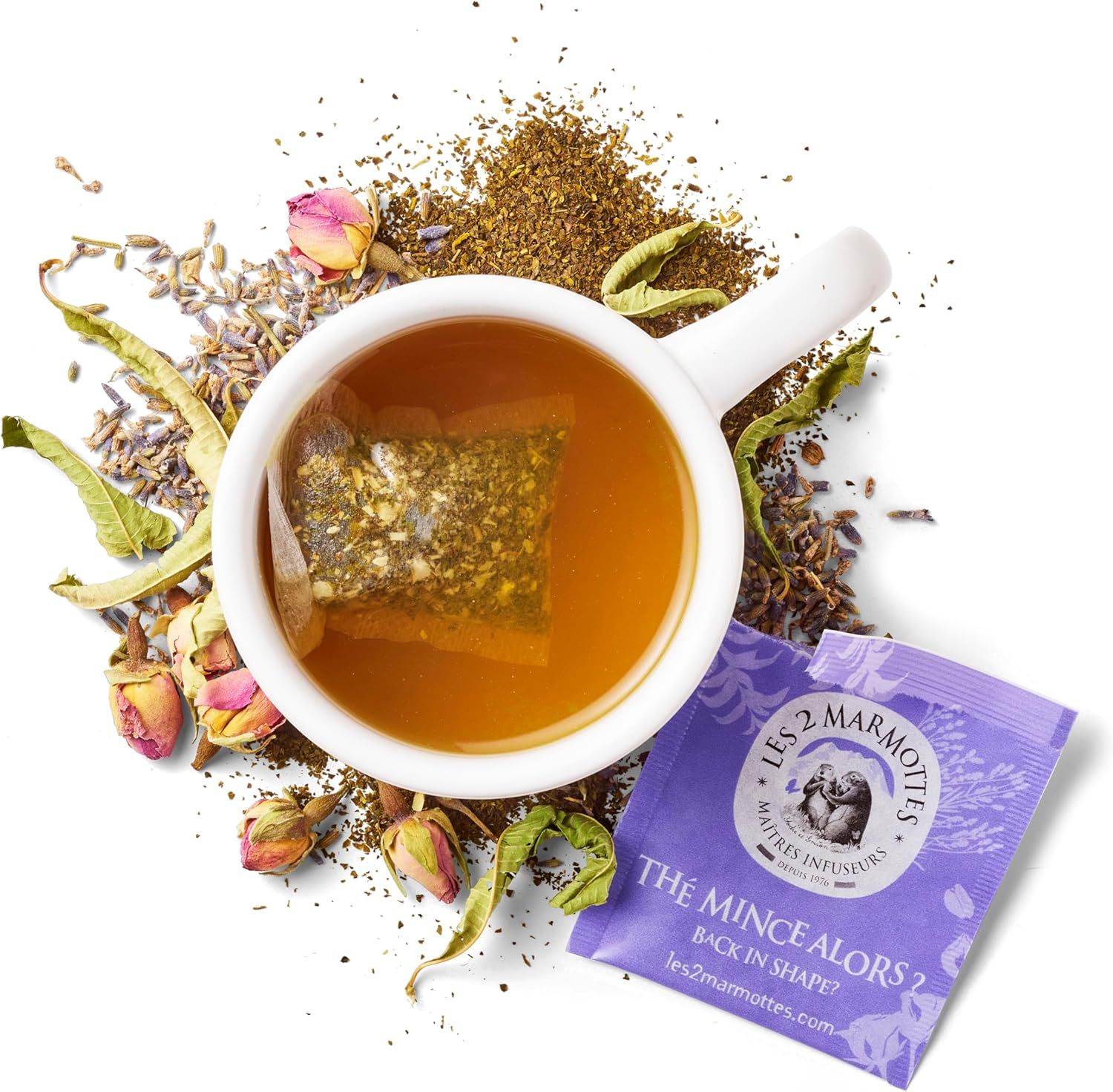 Sachets de thé PG Tips - lot de 2 boîtes de 160