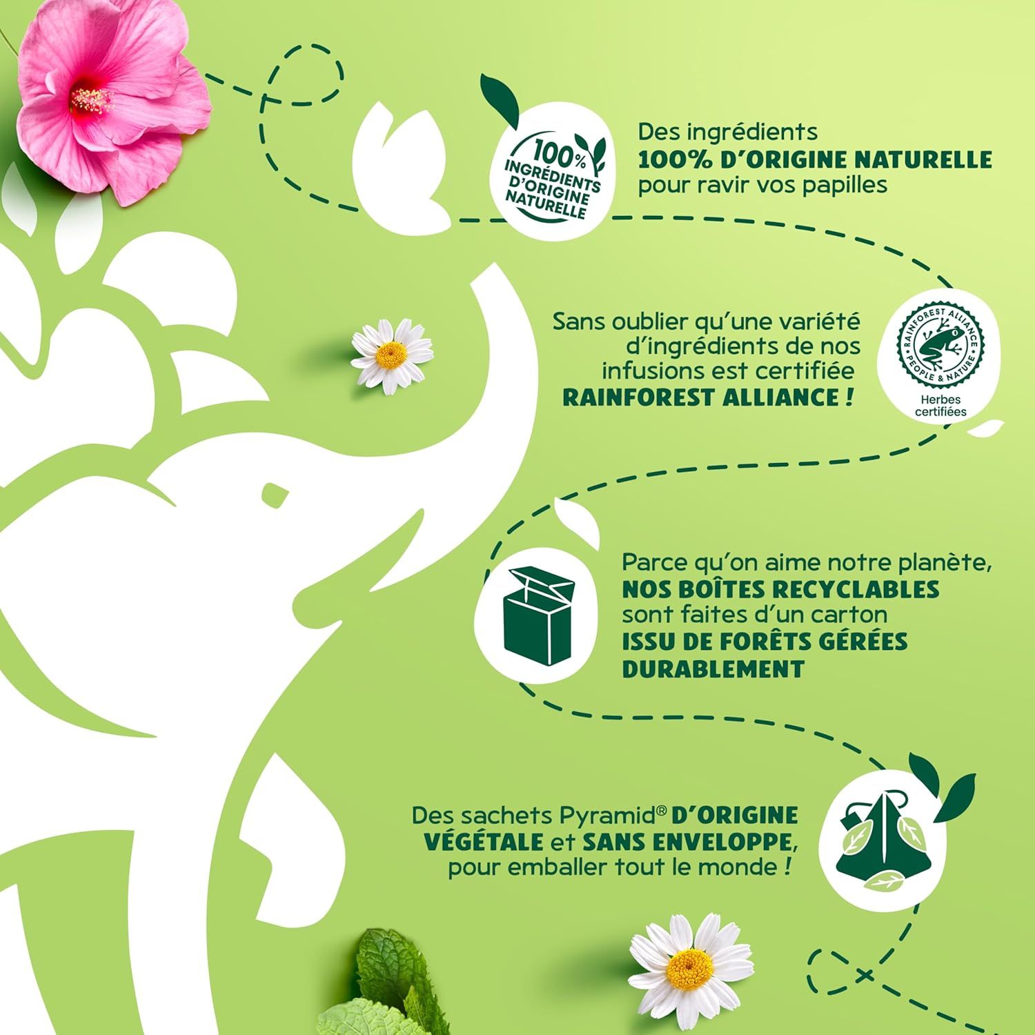 Tisane épicée pomme et cannelle Republic of Tea