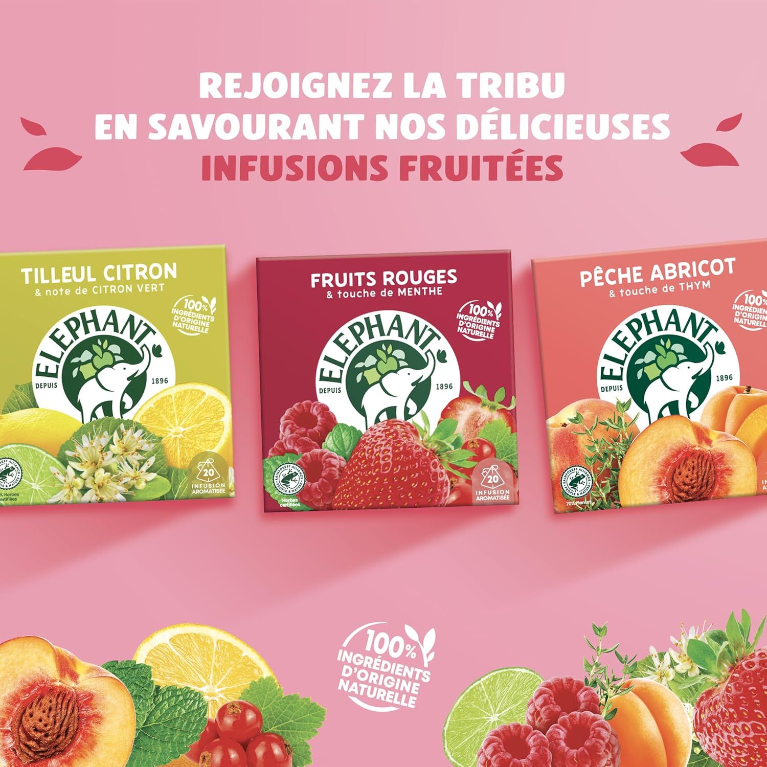 Tisane épicée pomme et cannelle Republic of Tea