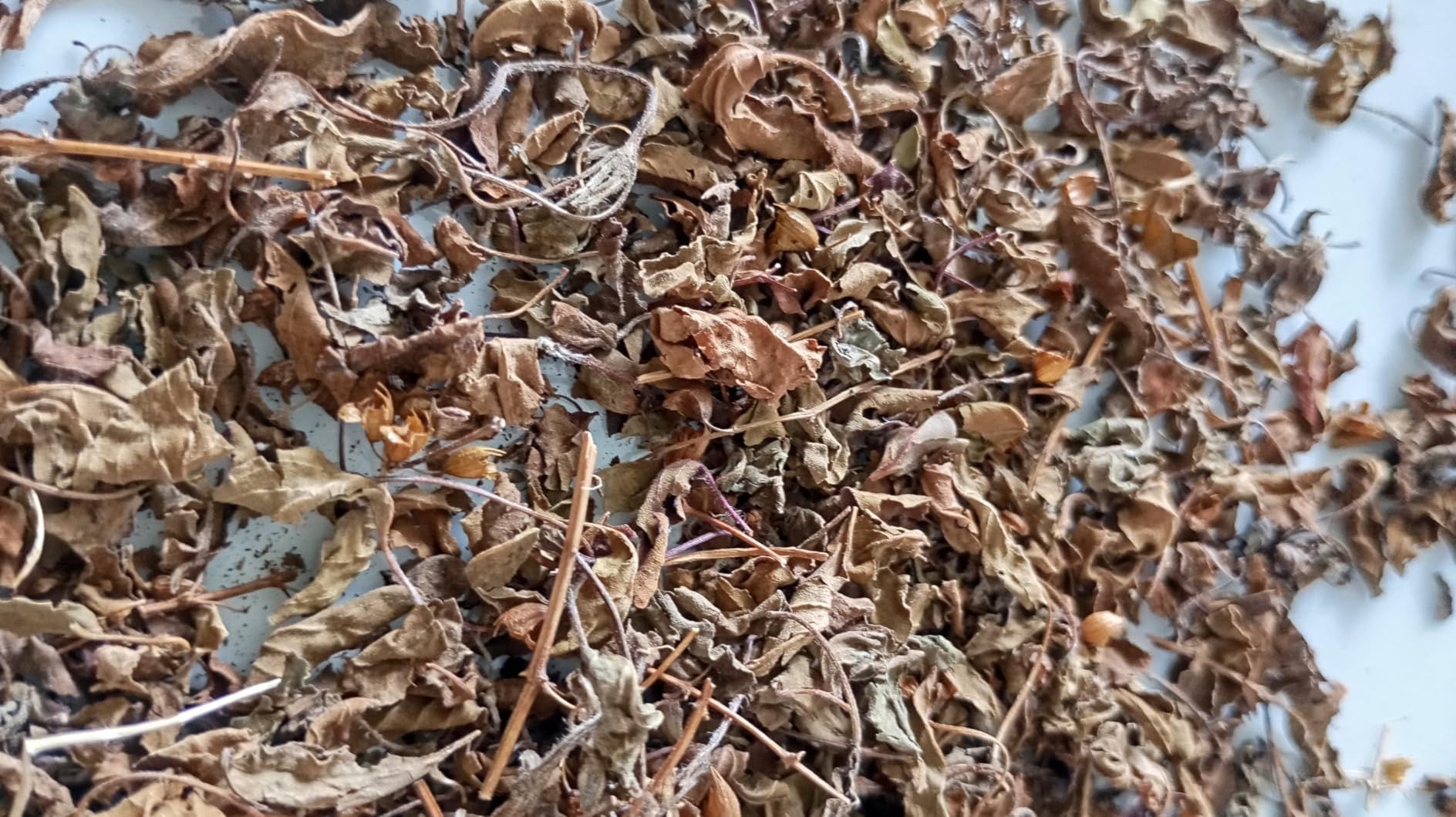 Tisane mélisse bio 100 g - infusion digestive et relaxante