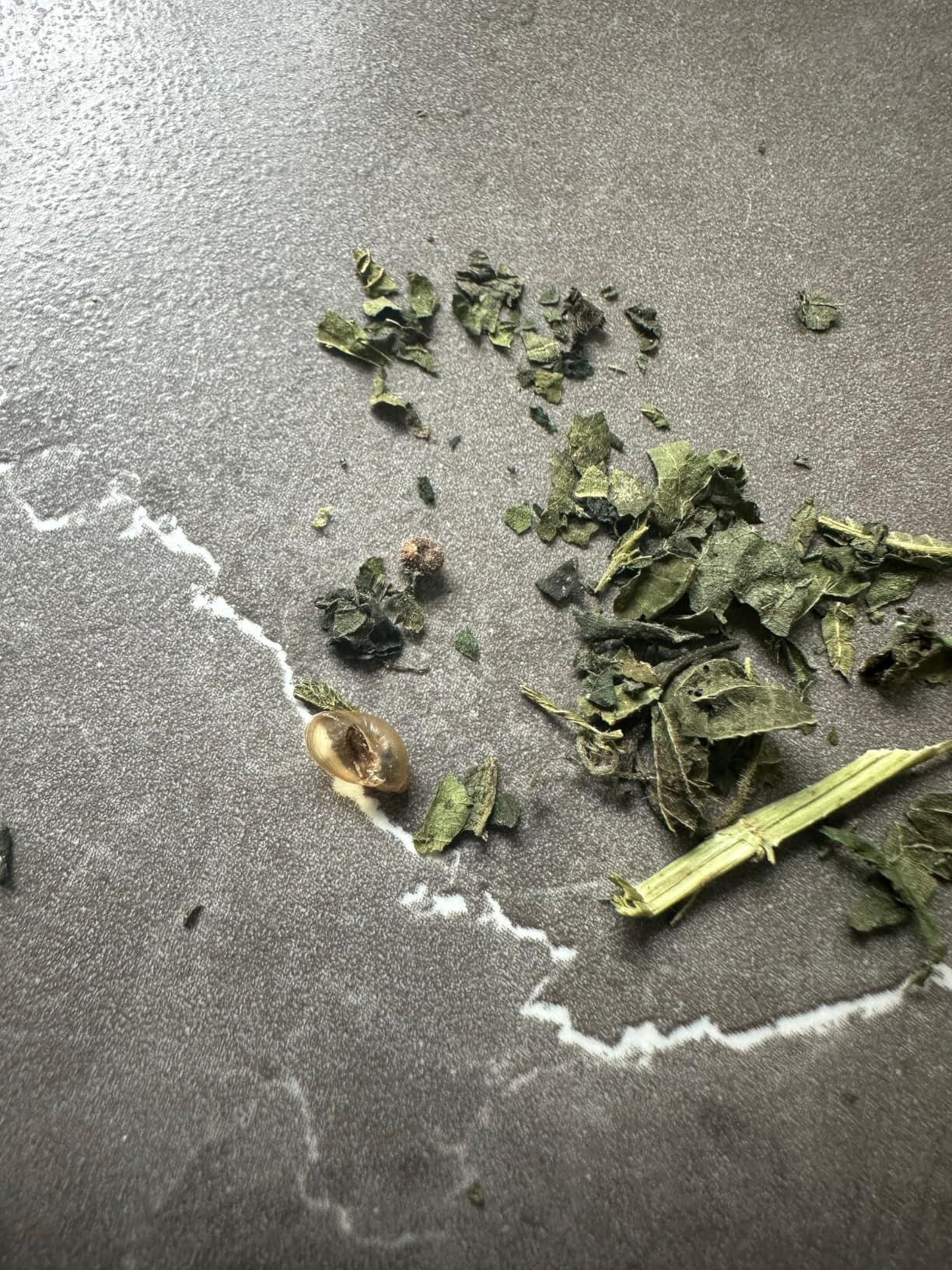 Tisane ortie bio 100 g infusion détox et reminéralisante