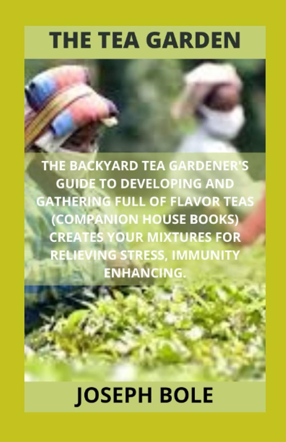 Plongez dans l'univers de la marque Tea Culture of the World