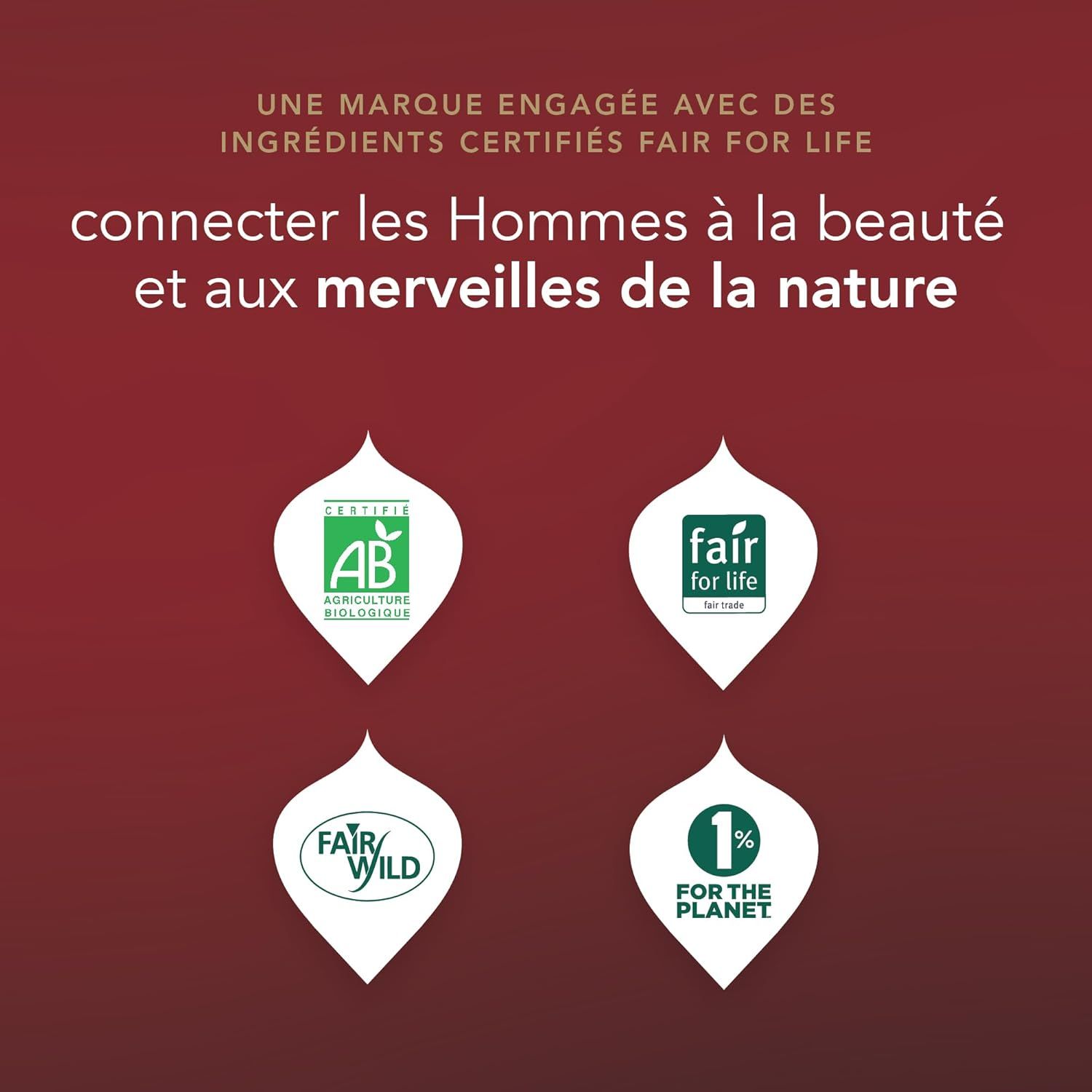 thé vert bio jasmin relaxant les 2 marmottes