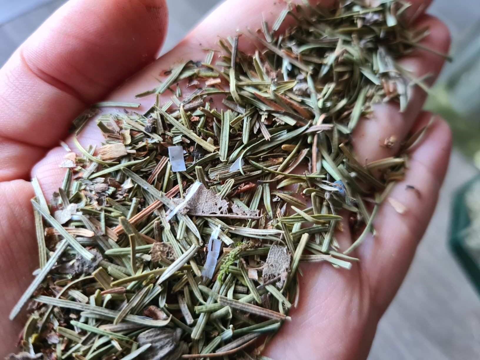 Infusion d'aiguilles de pin séchées 100g