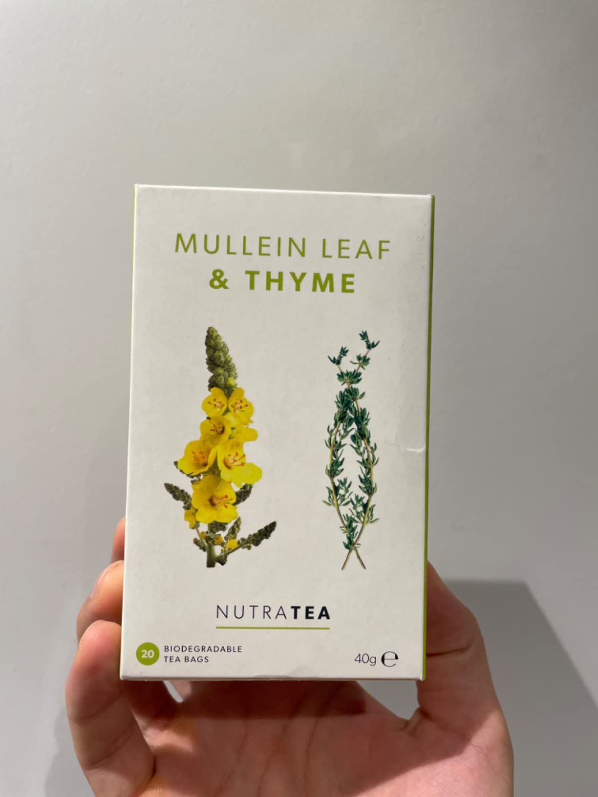 Tisane molène et thym pour poumons et gorge - 20 sachets