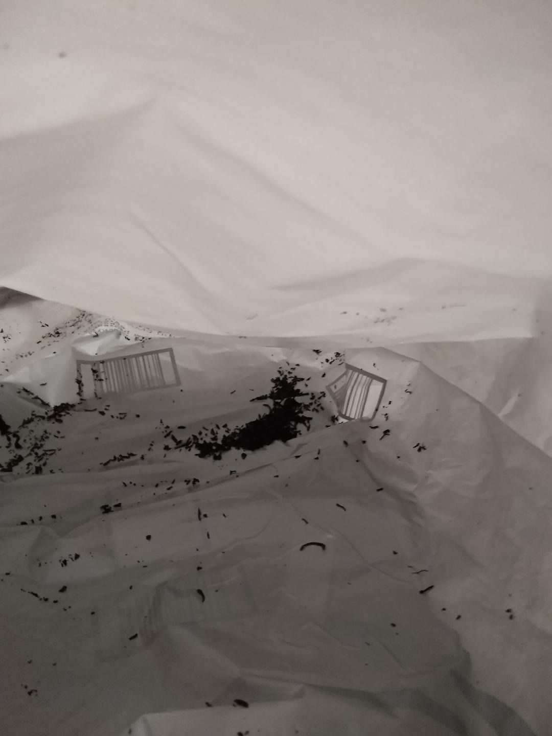 Earl Grey thé noir Vahdam - fraîcheur et qualité