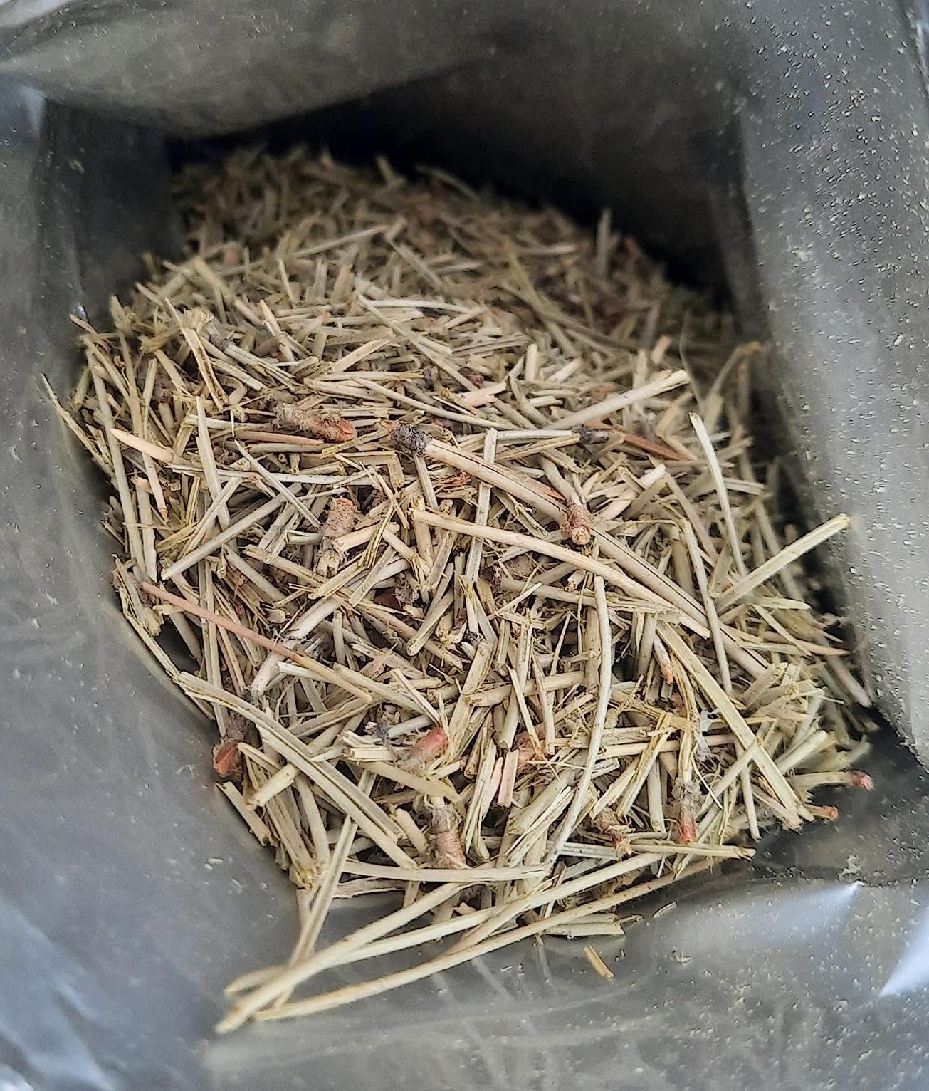 Infusion d'aiguilles de pin séchées 100g