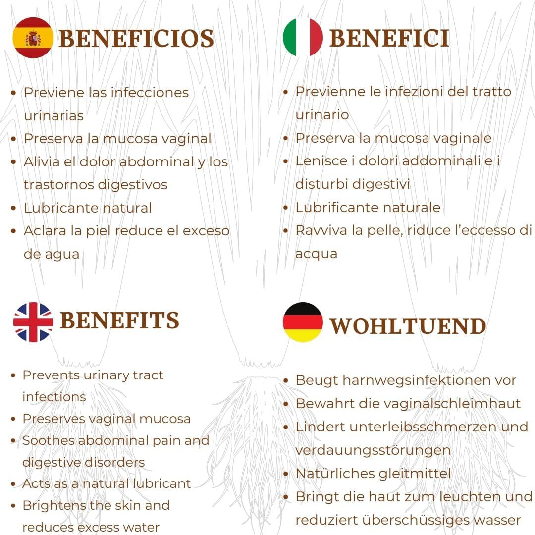 Thé noir bio darjeeling earl grey 250g en vrac