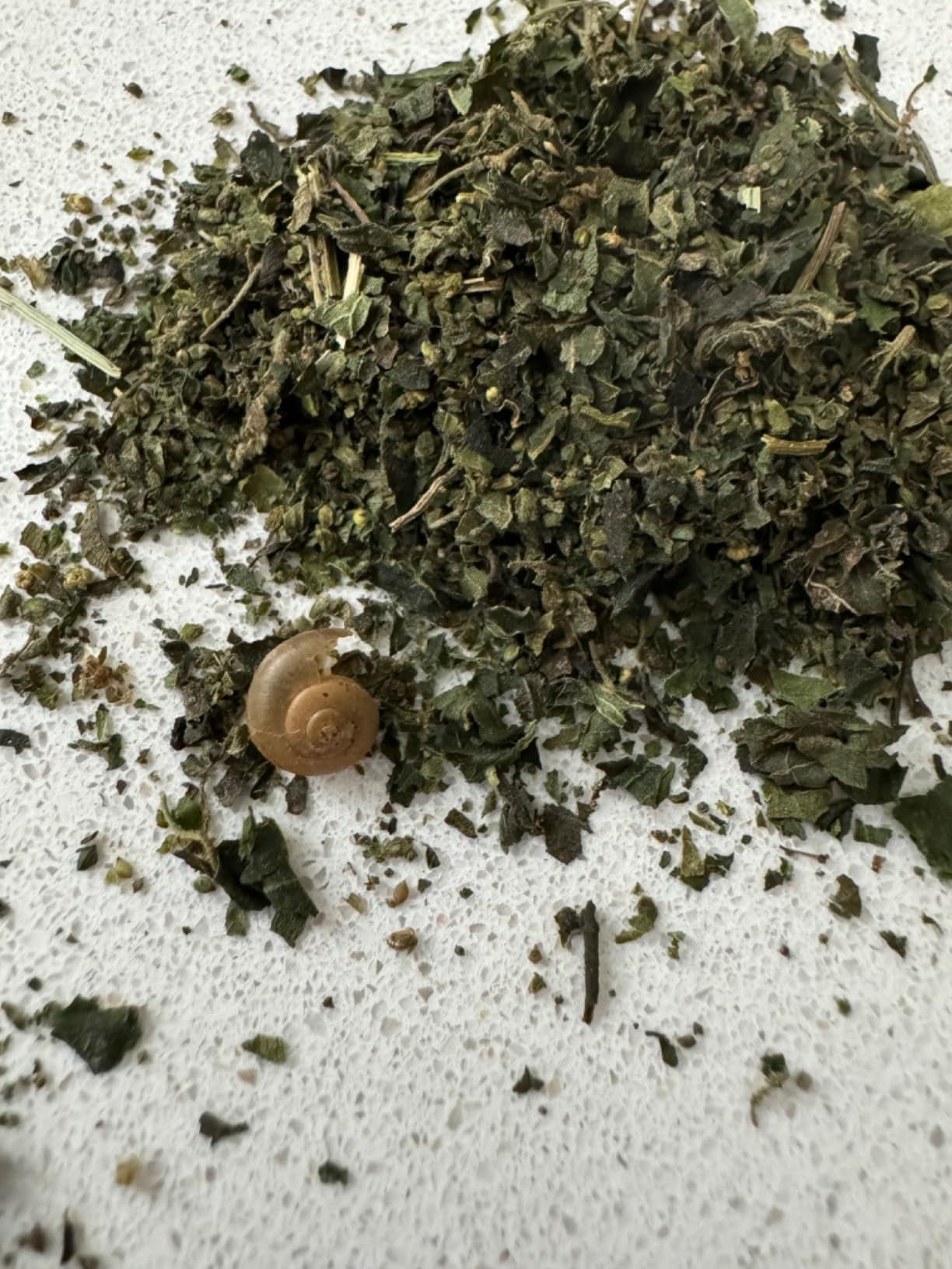 Tisane ortie bio 100 g infusion détox et reminéralisante