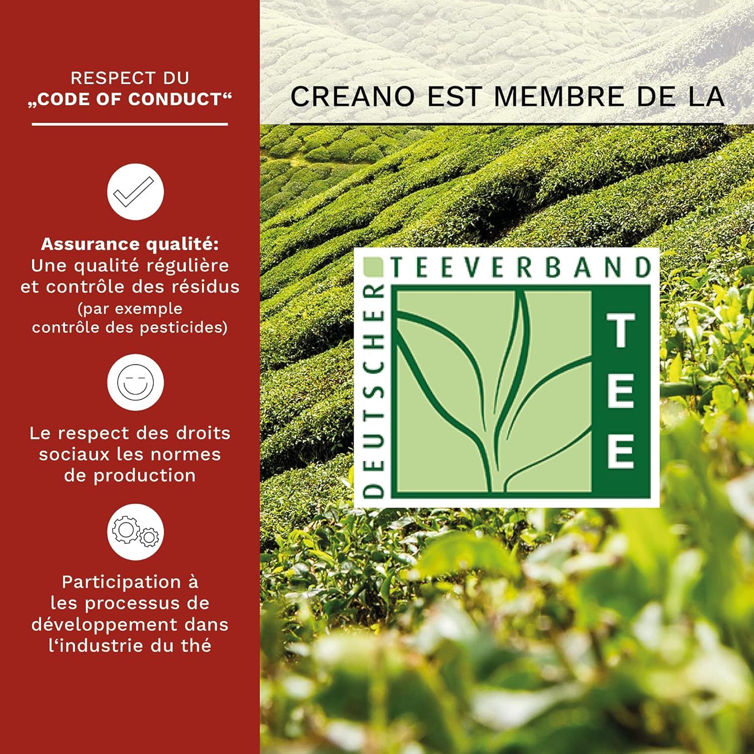 Creano Coffret „Thé en Floraison“ 6 thés de fleurs – Théière en verre 500ml sans goutte – 6 variétés de thé blanc – Idée cadeau exceptionnelle – Verre borosilicate