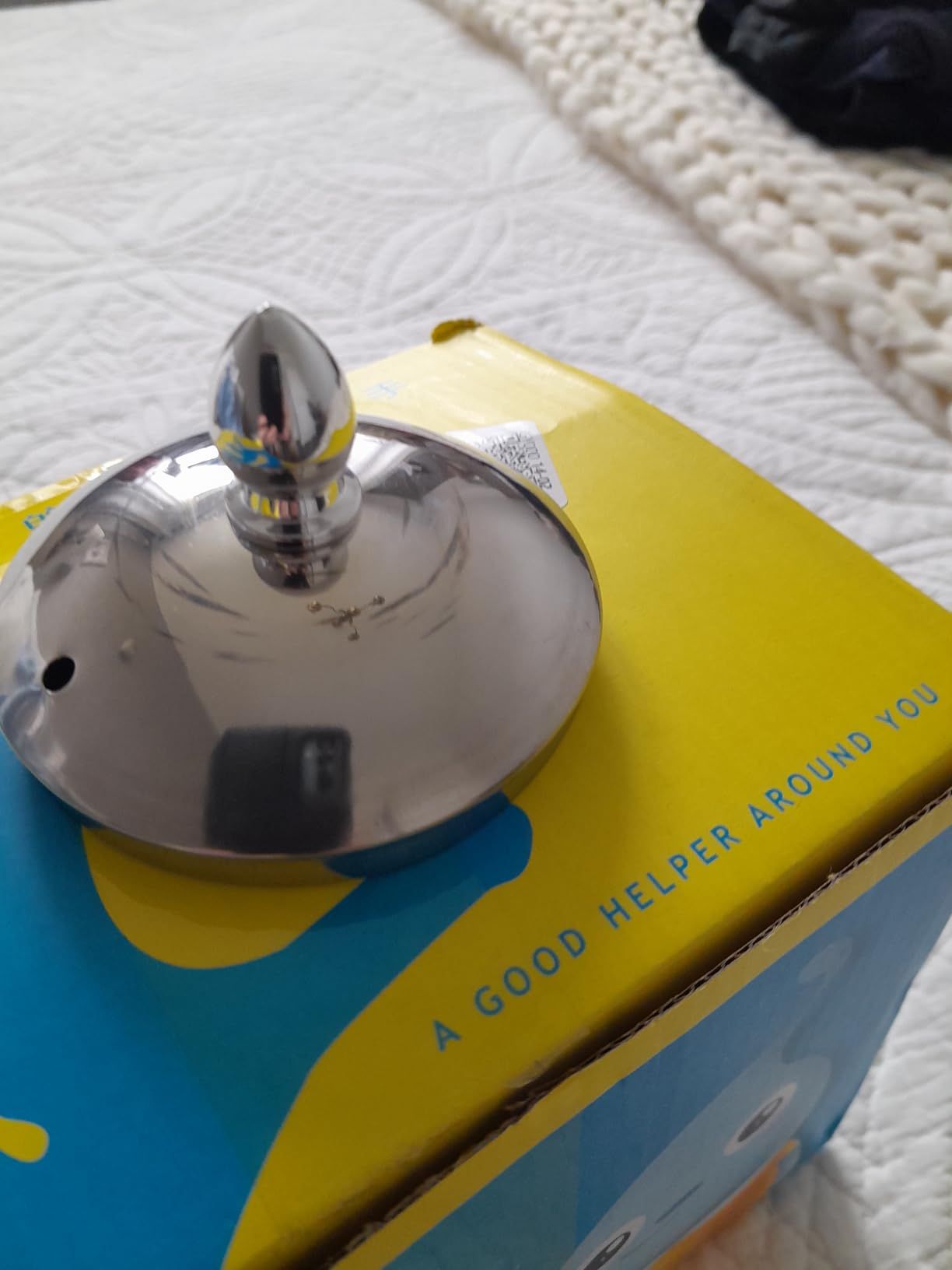 Zerone Bouilloire en Acier Inoxydable 1L, Théière avec Infuseur et Filtre pour Hôtel et Restaurant