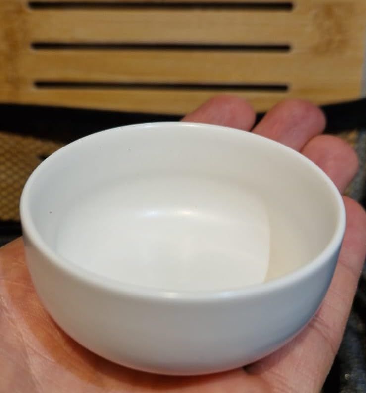 Théière chinoise avec plateau et infuseur - Théière portable en porcelaine - Sac tout-en-un - Pour extérieur, pique-nique, affaires, hôtel (noir)