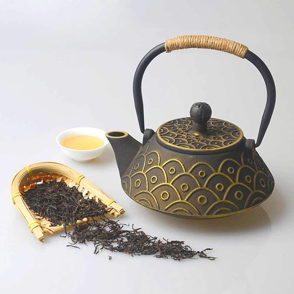 HwaGui Théière en Fonte emaillee Japonaise et Filtre en Acier Inoxydable, écailles de Poisson Classiques 800 ML / 25 oz