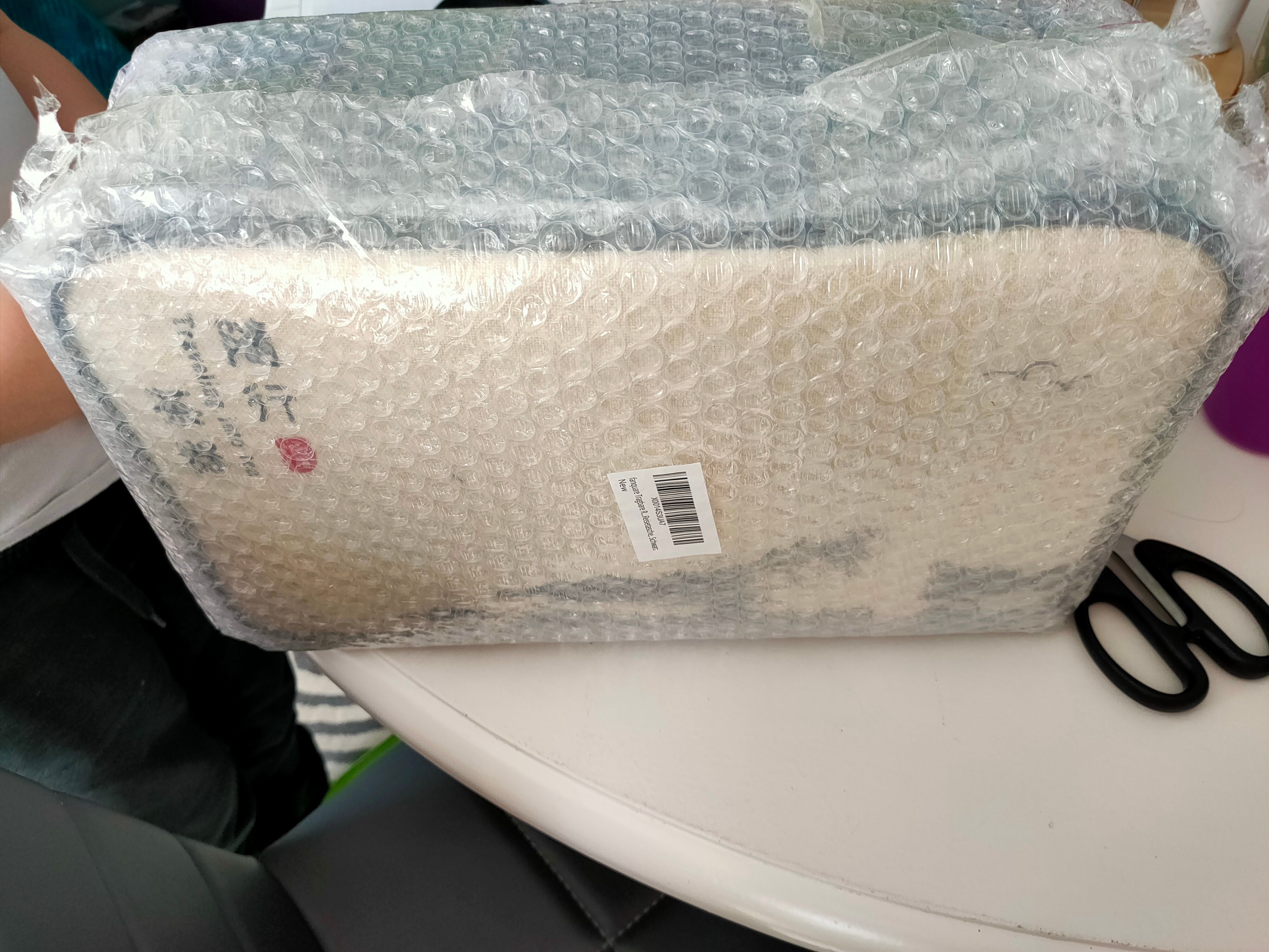 fanquare Portable Kungfu Service à Thé Chinois, Ensemble de Thé Kungfu Fait Main, Théière en Porcelaine, Tasses à Thé, Plateau à Thé en Bambou et Un Sac pour Voyage, Blanc