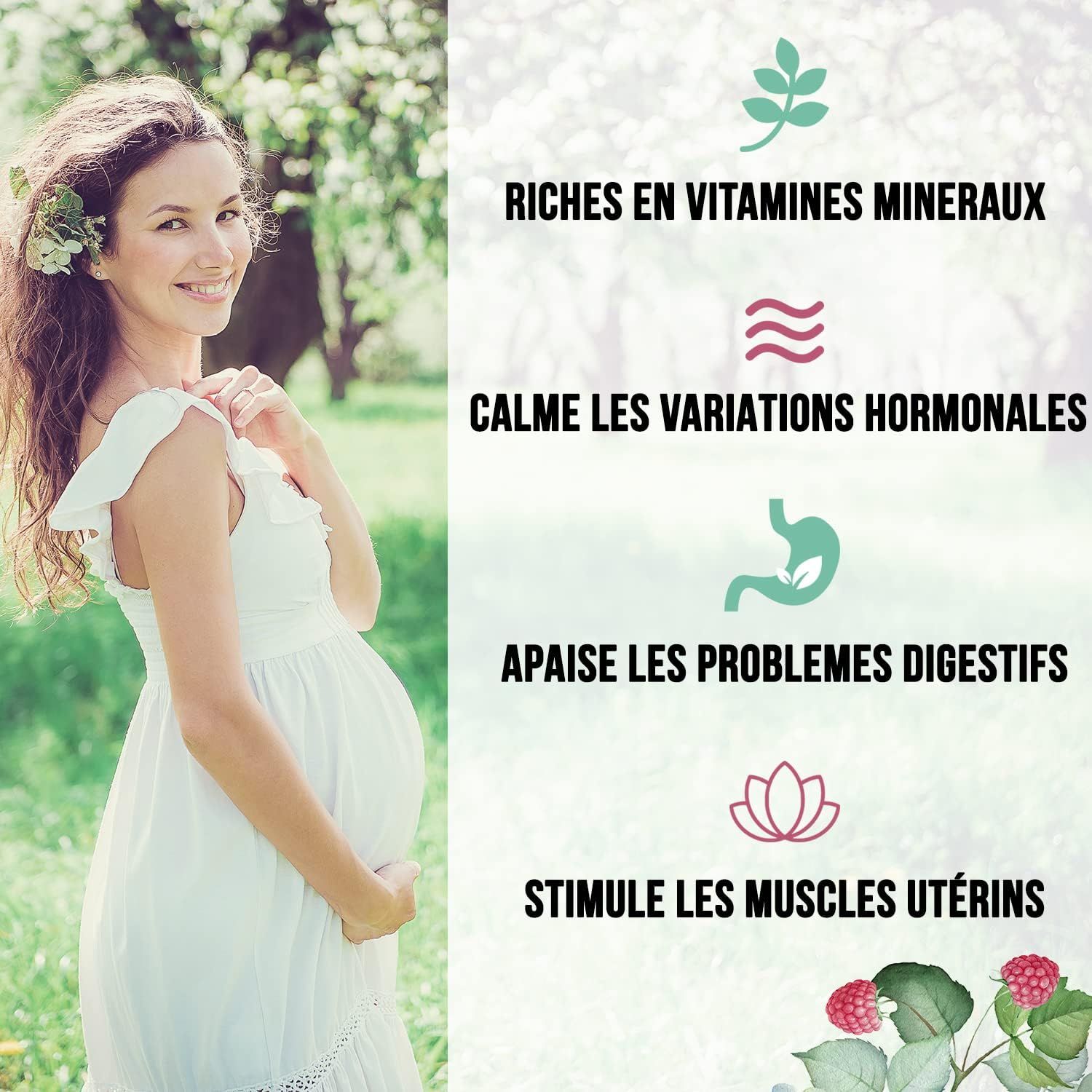 Fleurs d'hibiscus séchées bio pour infusion 250 g