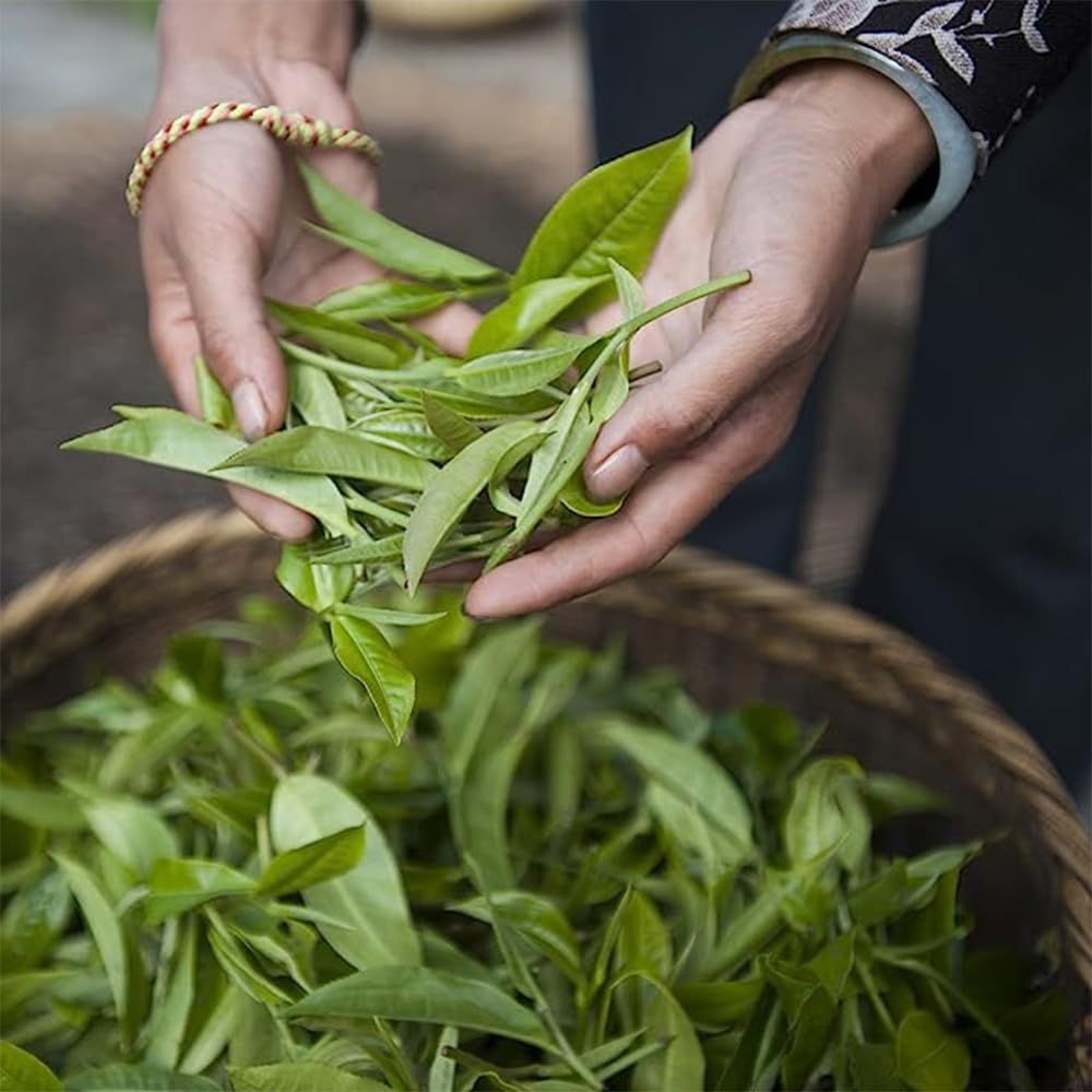 Tisane purifiante Pukka Cleanse 20 sachets