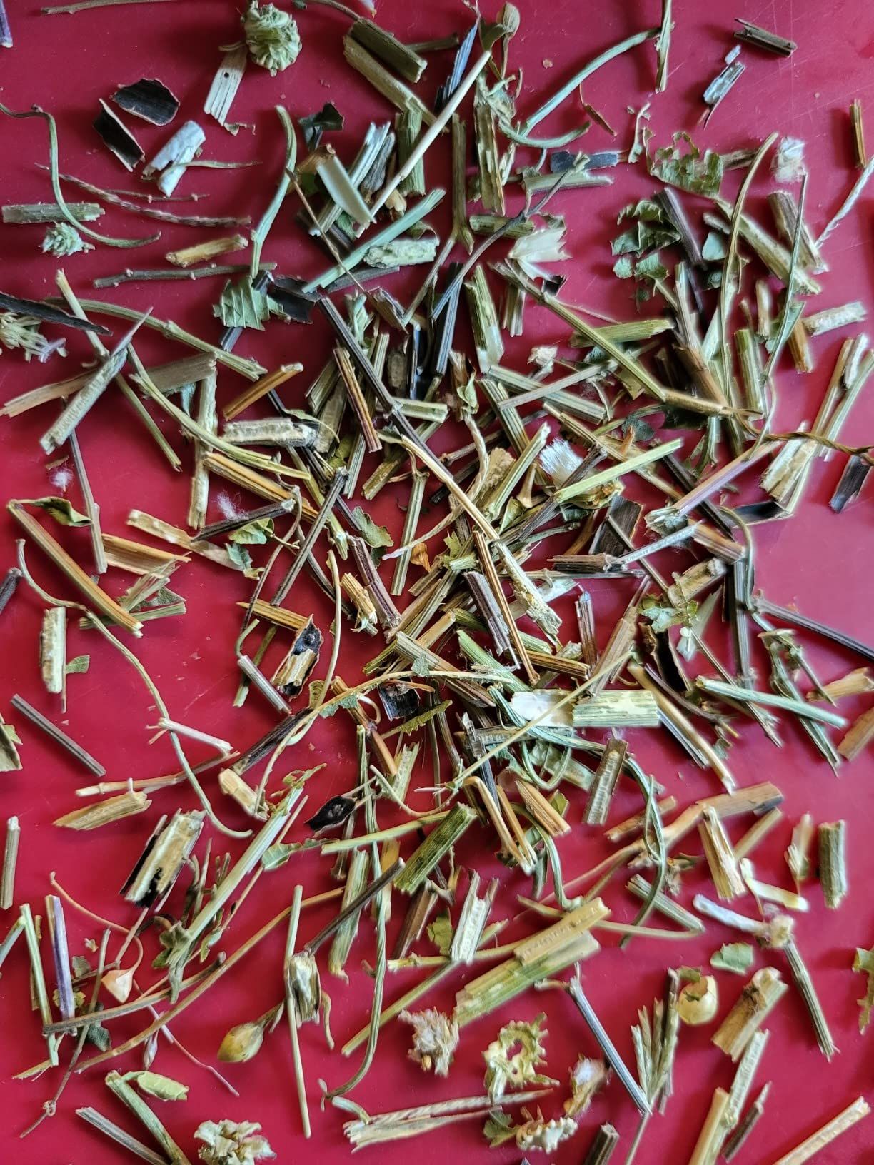 Tisane mélisse bio 100 g - infusion digestive et relaxante