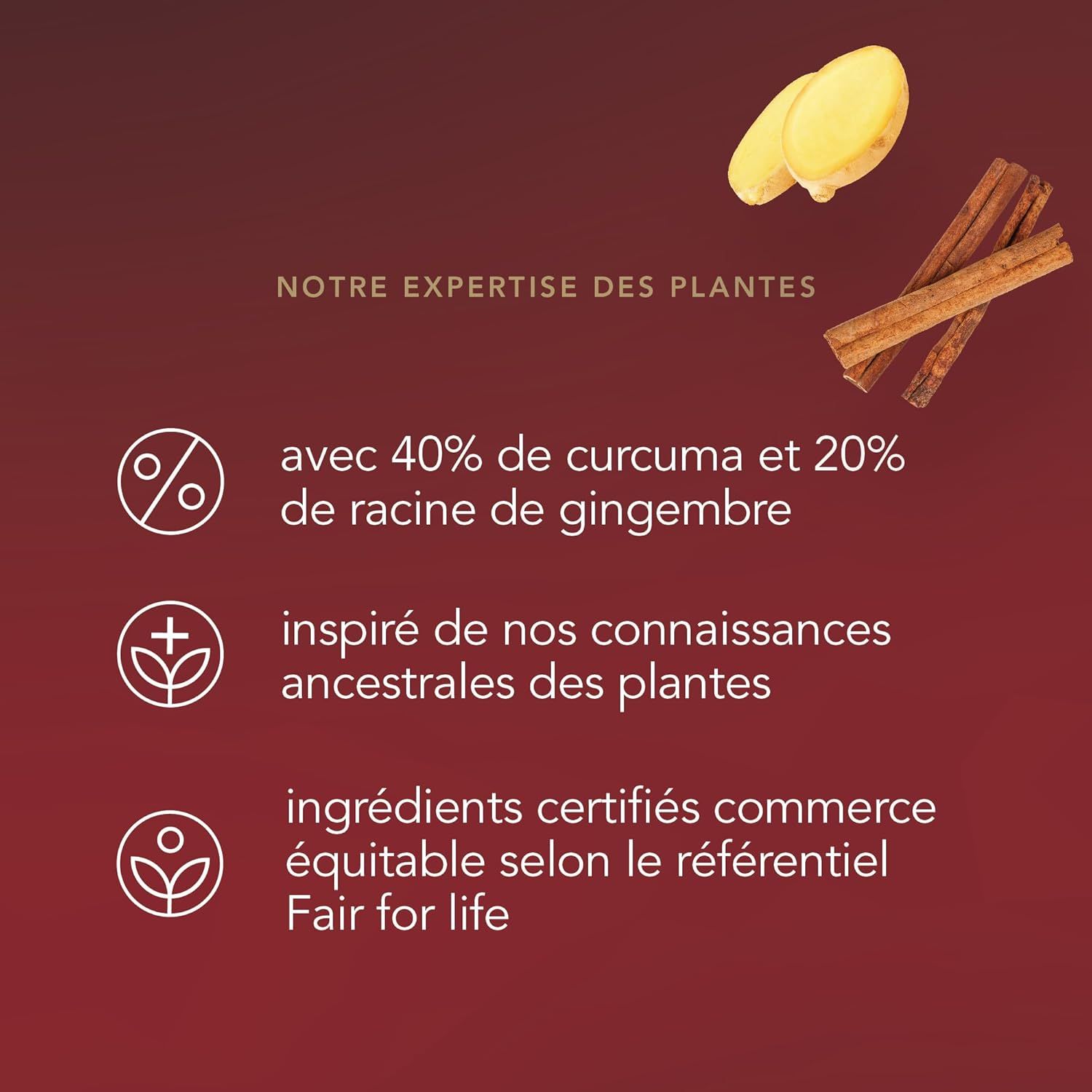 thé vert bio jasmin relaxant les 2 marmottes