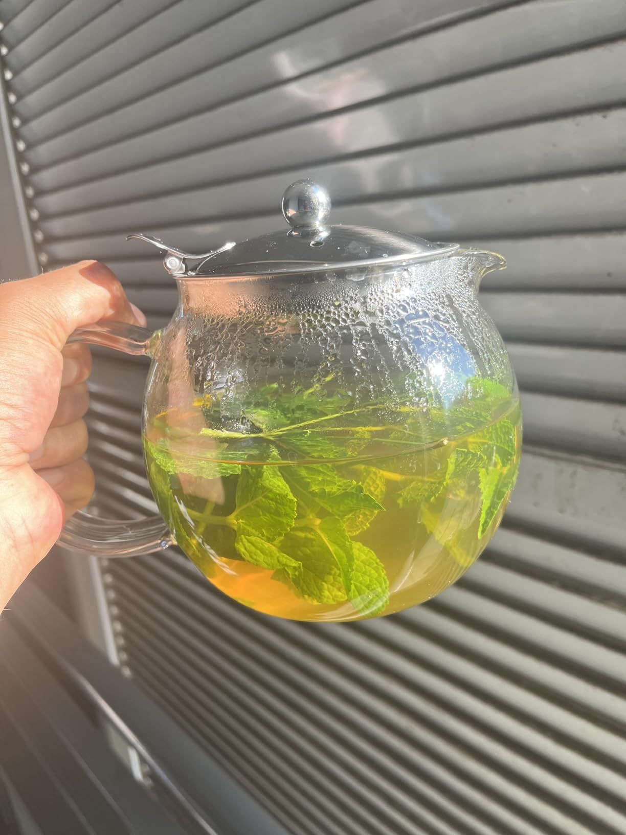 Teabloom Classica Théière en Verre 1,2 L – Résistante à la Chaleur avec Infuseur Amovible en Acier Inoxydable – Théière Design pour Thé en Vrac et Infusions