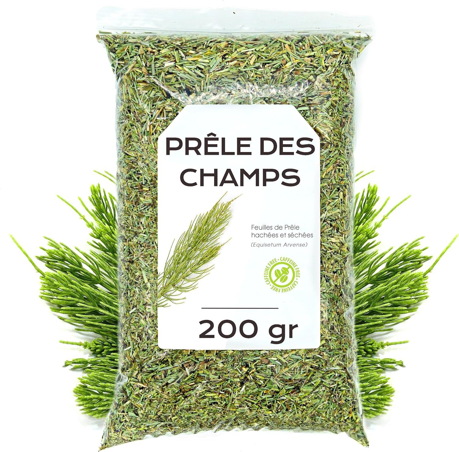 Teaologists : une marque de thé qui éveille les sens