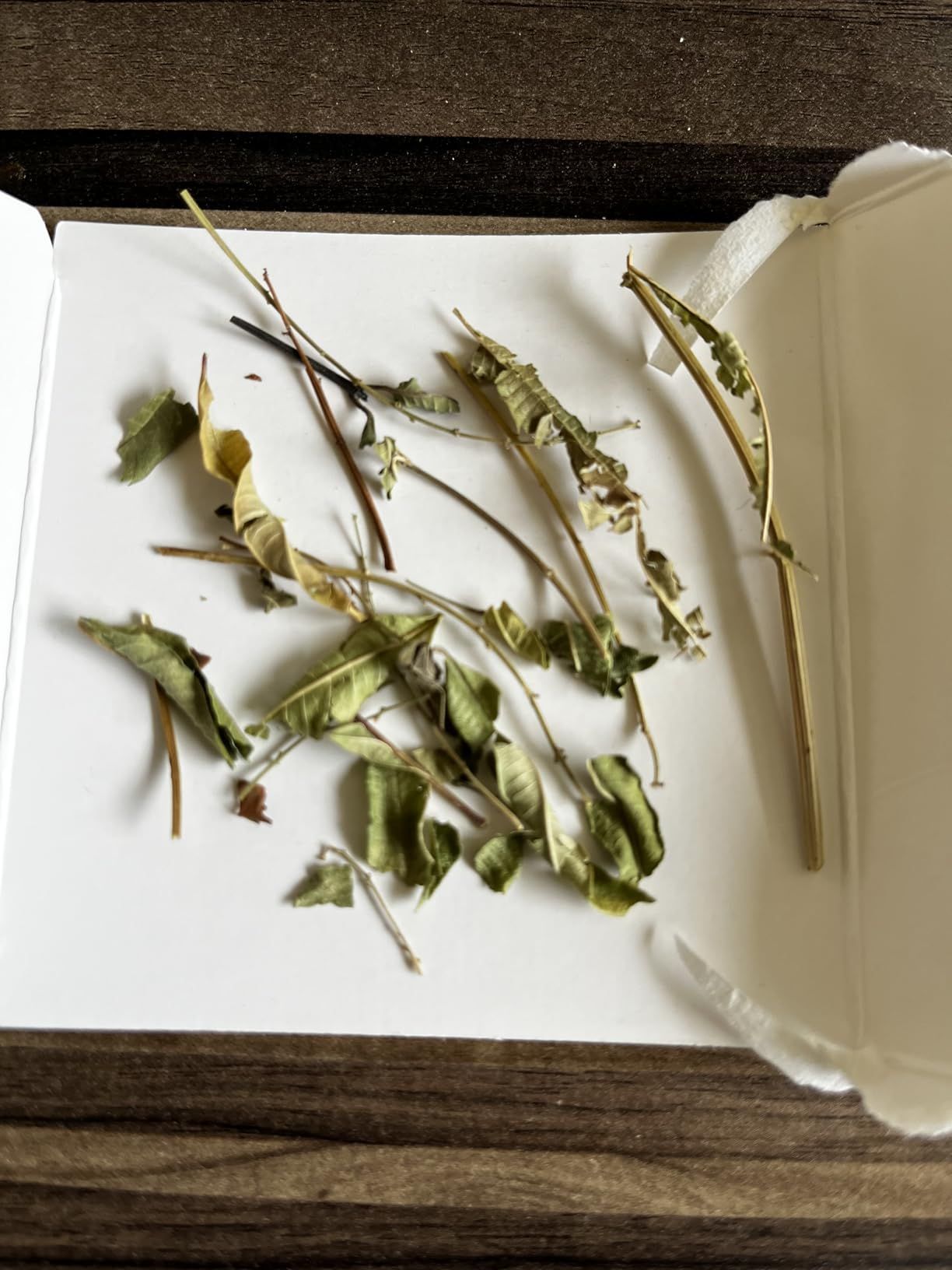 Tisane mélisse bio 100 g - infusion digestive et relaxante