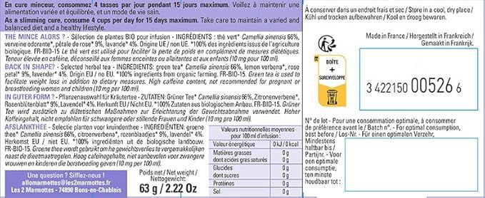 Sachets de thé PG Tips - lot de 2 boîtes de 160