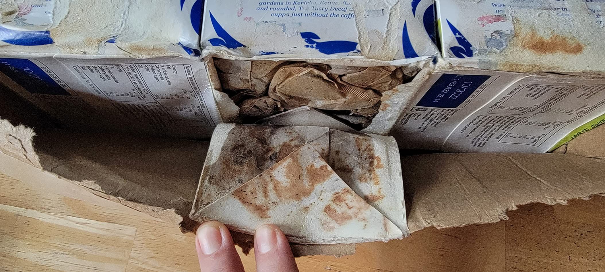 Sachets de thé déthéiné PG Tips Pyramid - Pack de 3