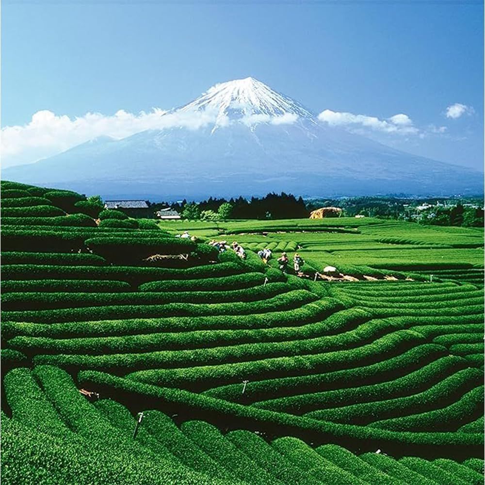 Tisane purifiante Pukka Cleanse 20 sachets