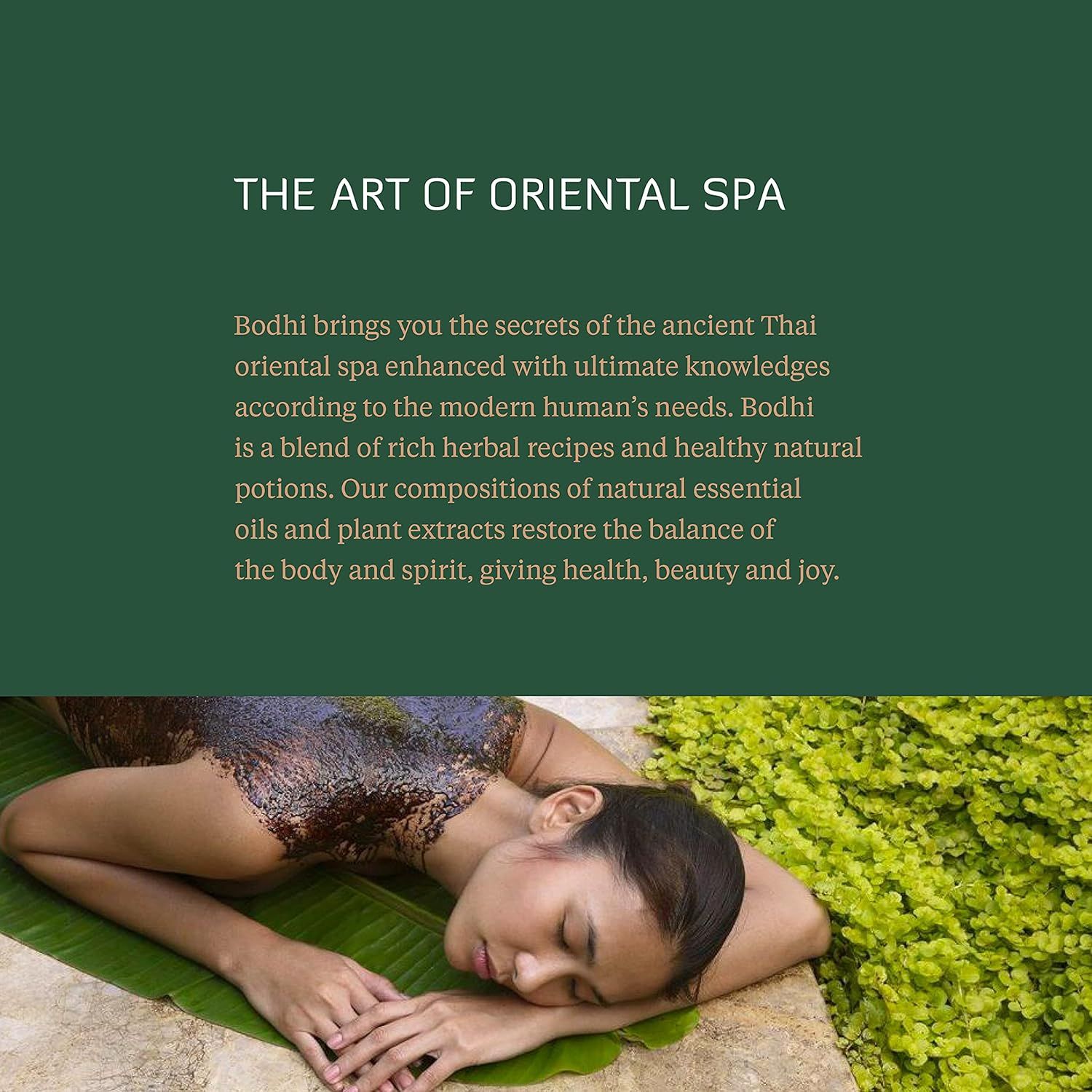 Feuilles de menthe poivrée bio en vrac - tisane et cuisine