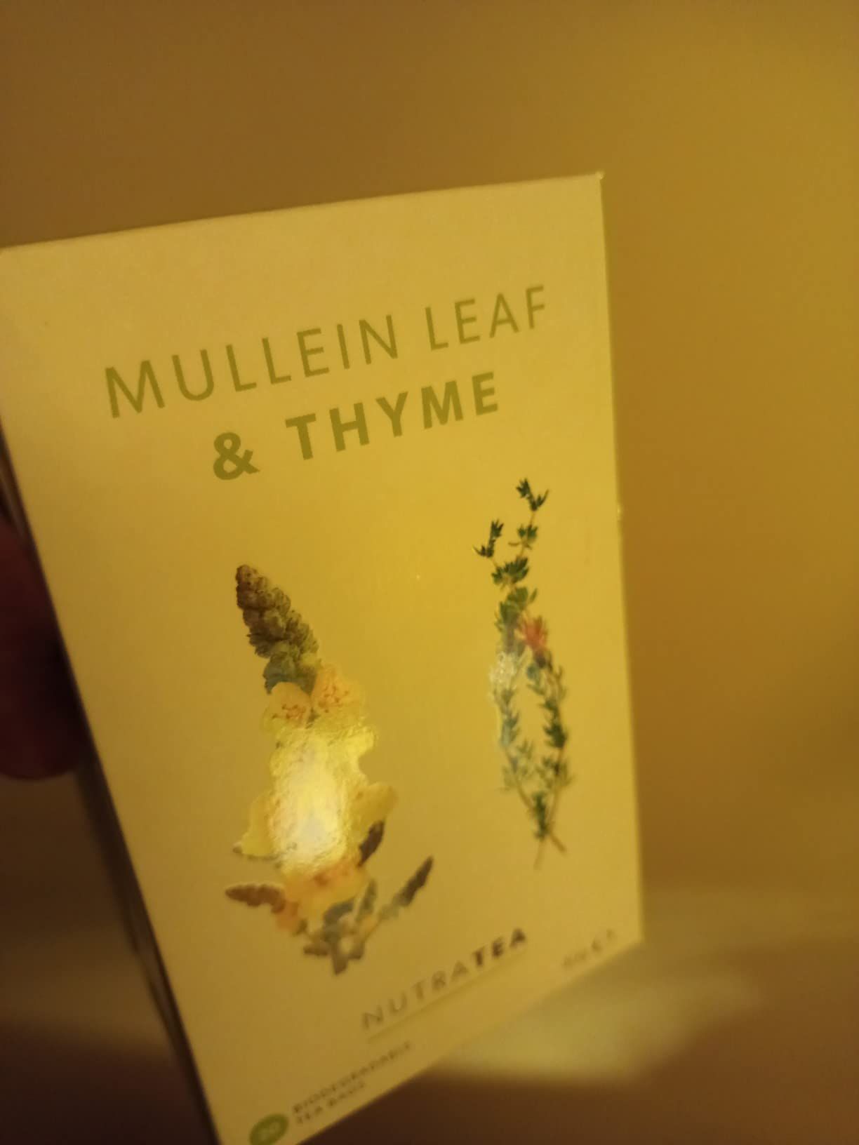 Tisane molène et thym pour poumons et gorge - 20 sachets