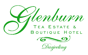 La splendeur du thé de Darjeeling avec Glenburn Tea Estate