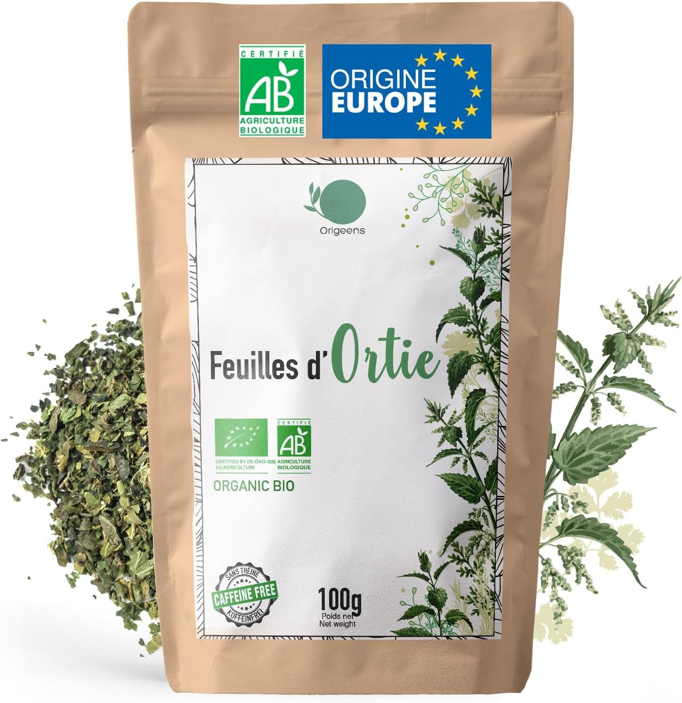 Plongez dans l'univers du thé avec Brahma Tea